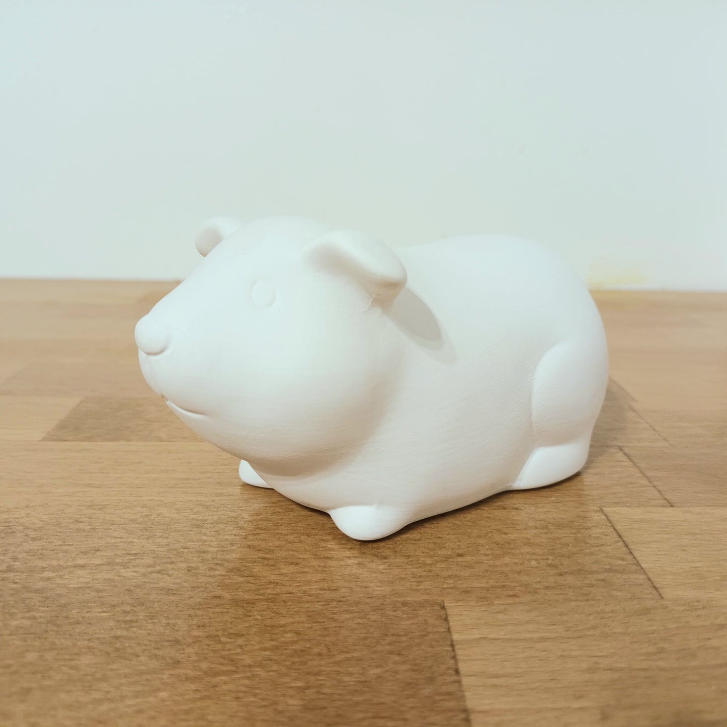 Guinea pig