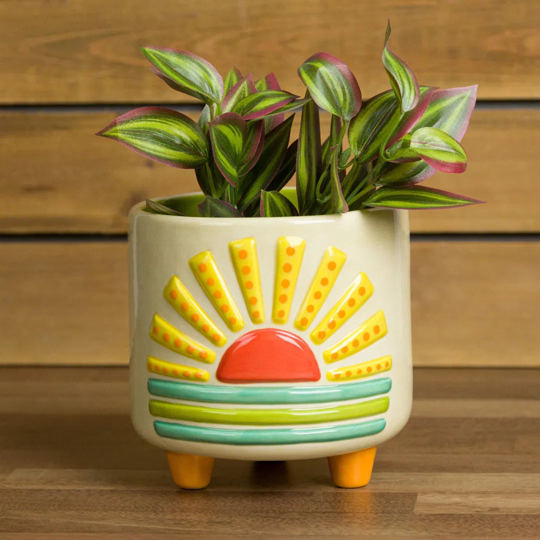 Sun plant pot with feet