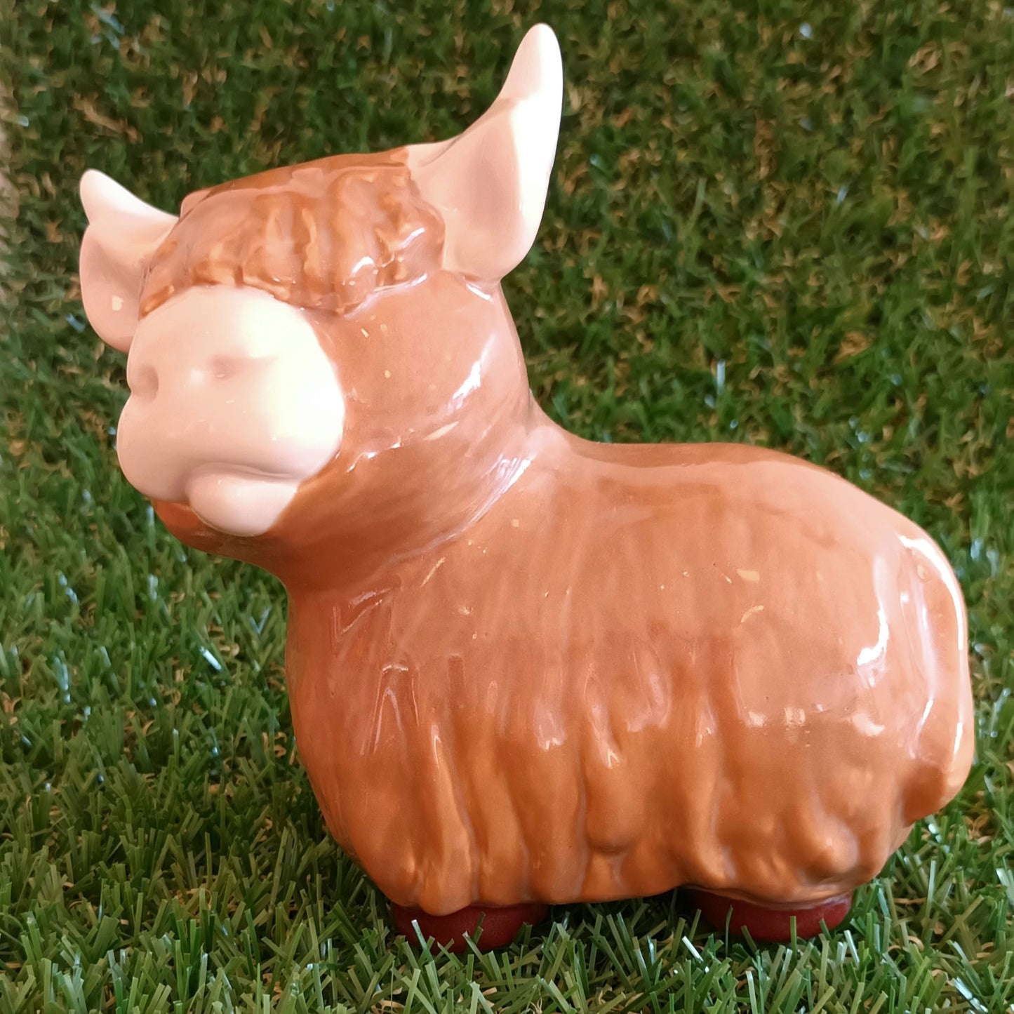 Happy highland cow
