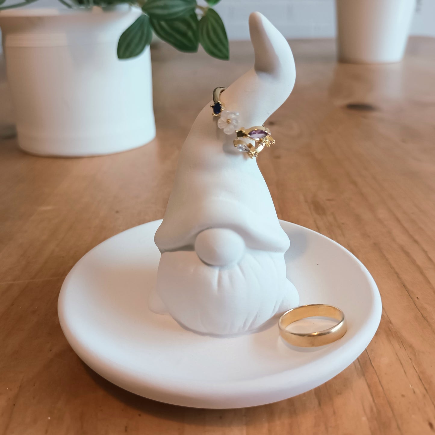 Gnome dish