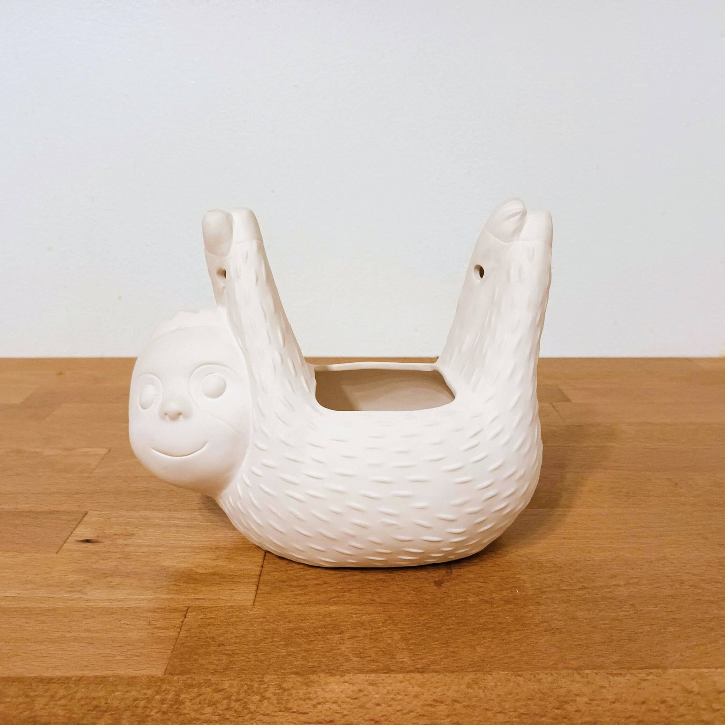 Homeware - Sloth hanging planter