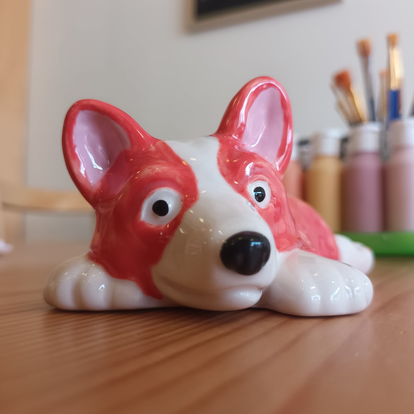Splooting Corgi