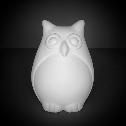 Cute owl