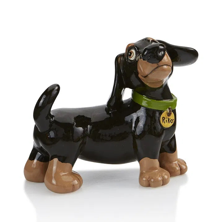 Animal - Dachshund