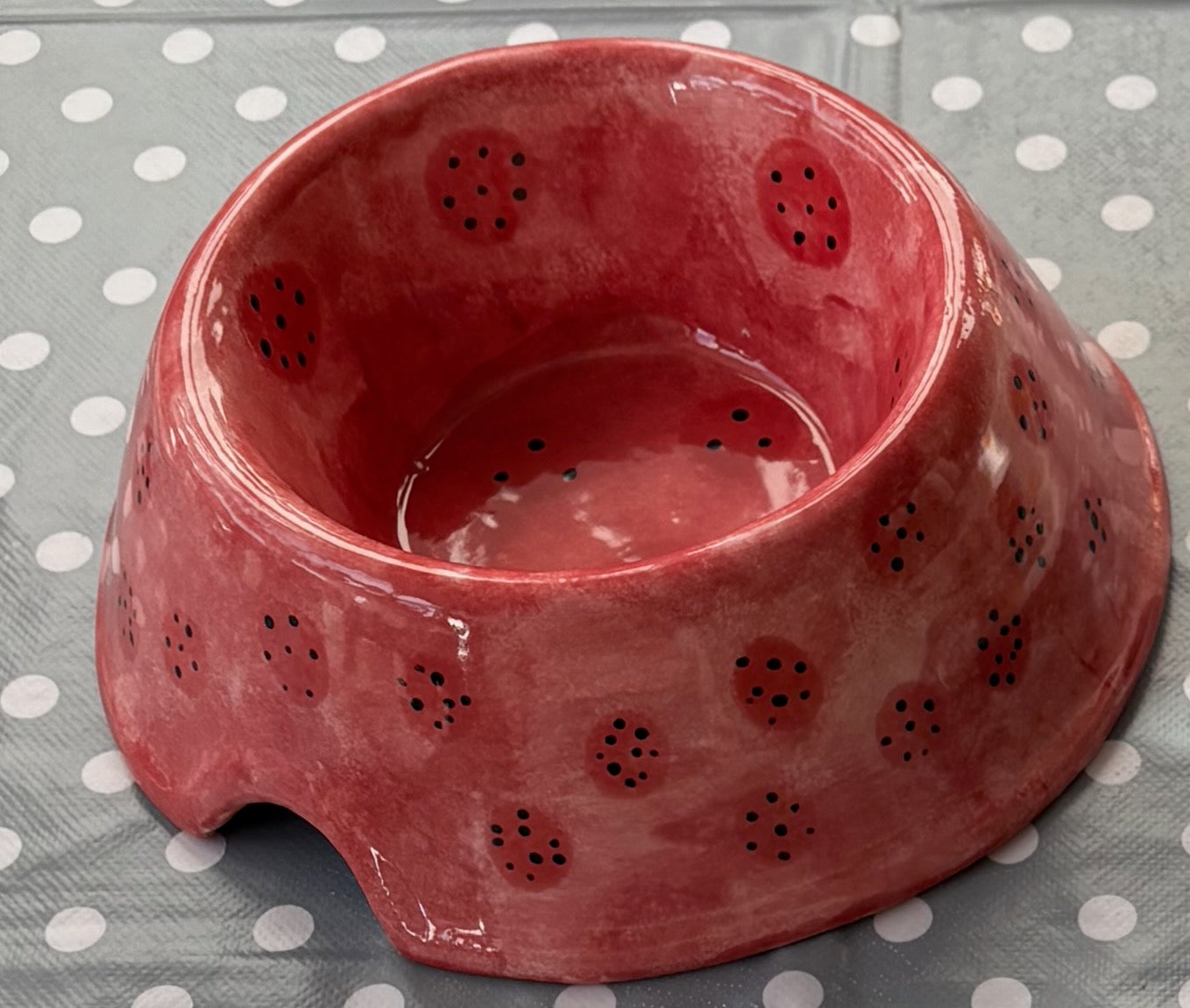 Dog Bowl - Medium