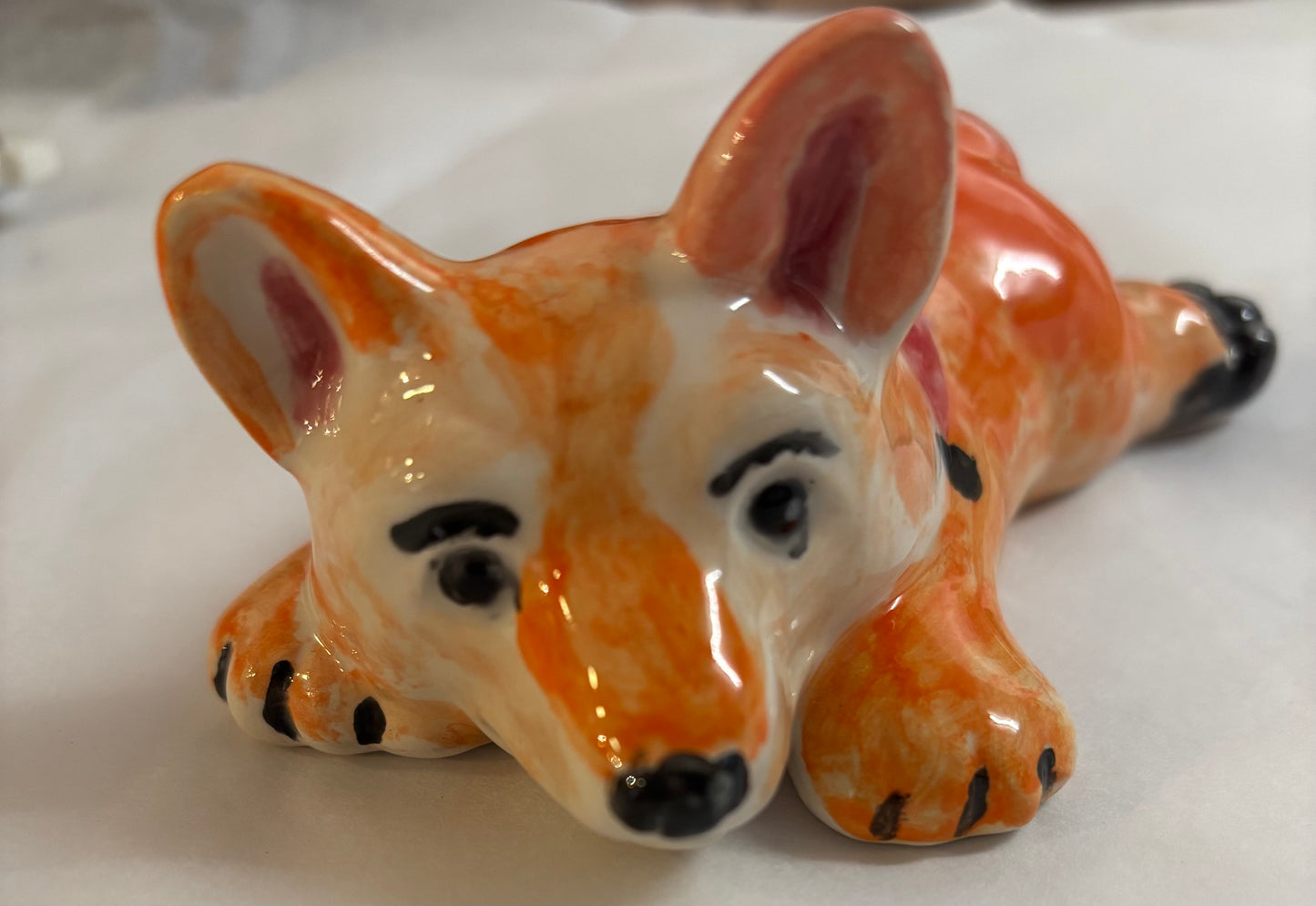 Animal - Splooting Corgi