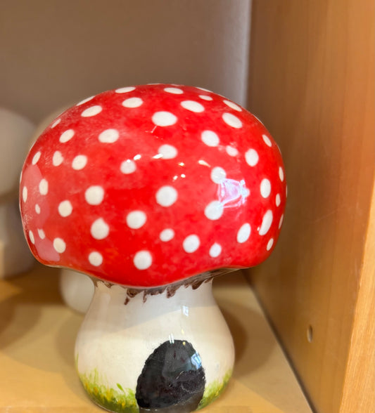 Homeware - Toadstool -Small