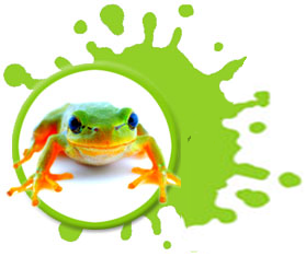 Green Frog Pottery